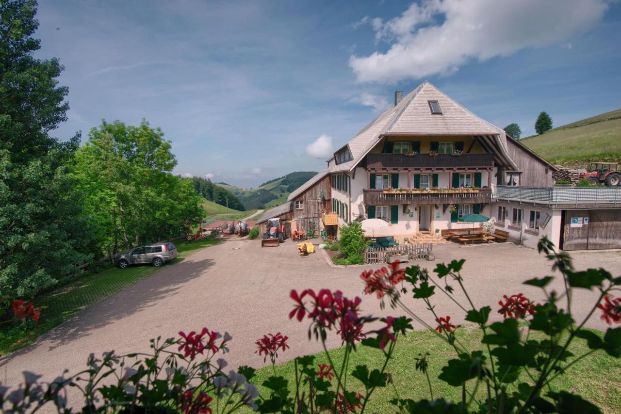 Mittlerer Itzenwaldhof - Heimkehr Apartment Münstertal